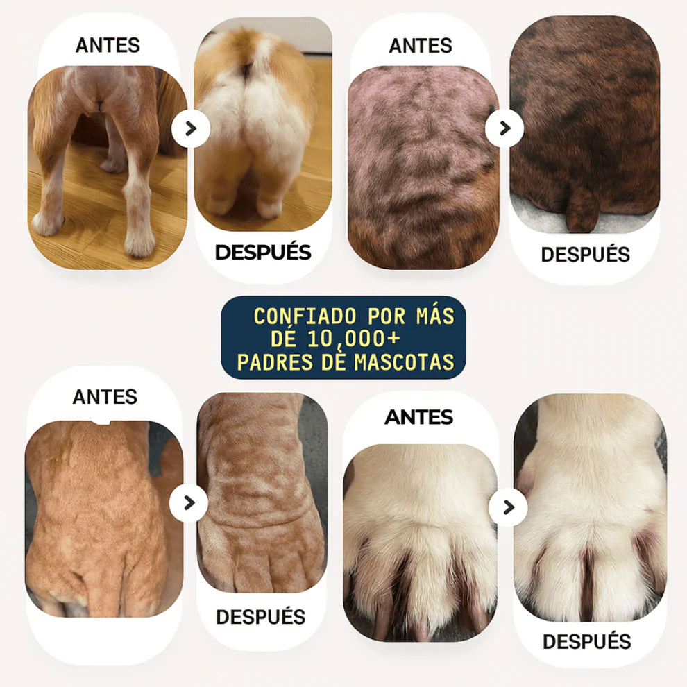 TRATAMIENTO NATURAL PARA PIEL ROJA, IRRITADA, CON GRANITOS O DERMATITIS.