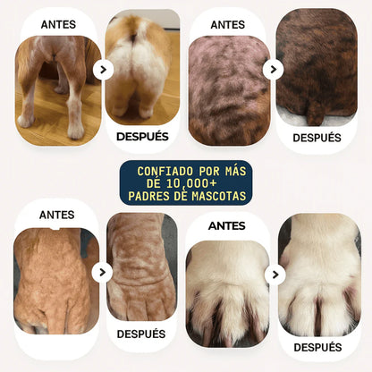 TRATAMIENTO NATURAL PARA PIEL ROJA, IRRITADA, CON GRANITOS O DERMATITIS.